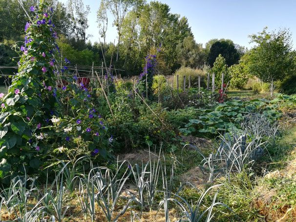 Les Jardins du Moulin