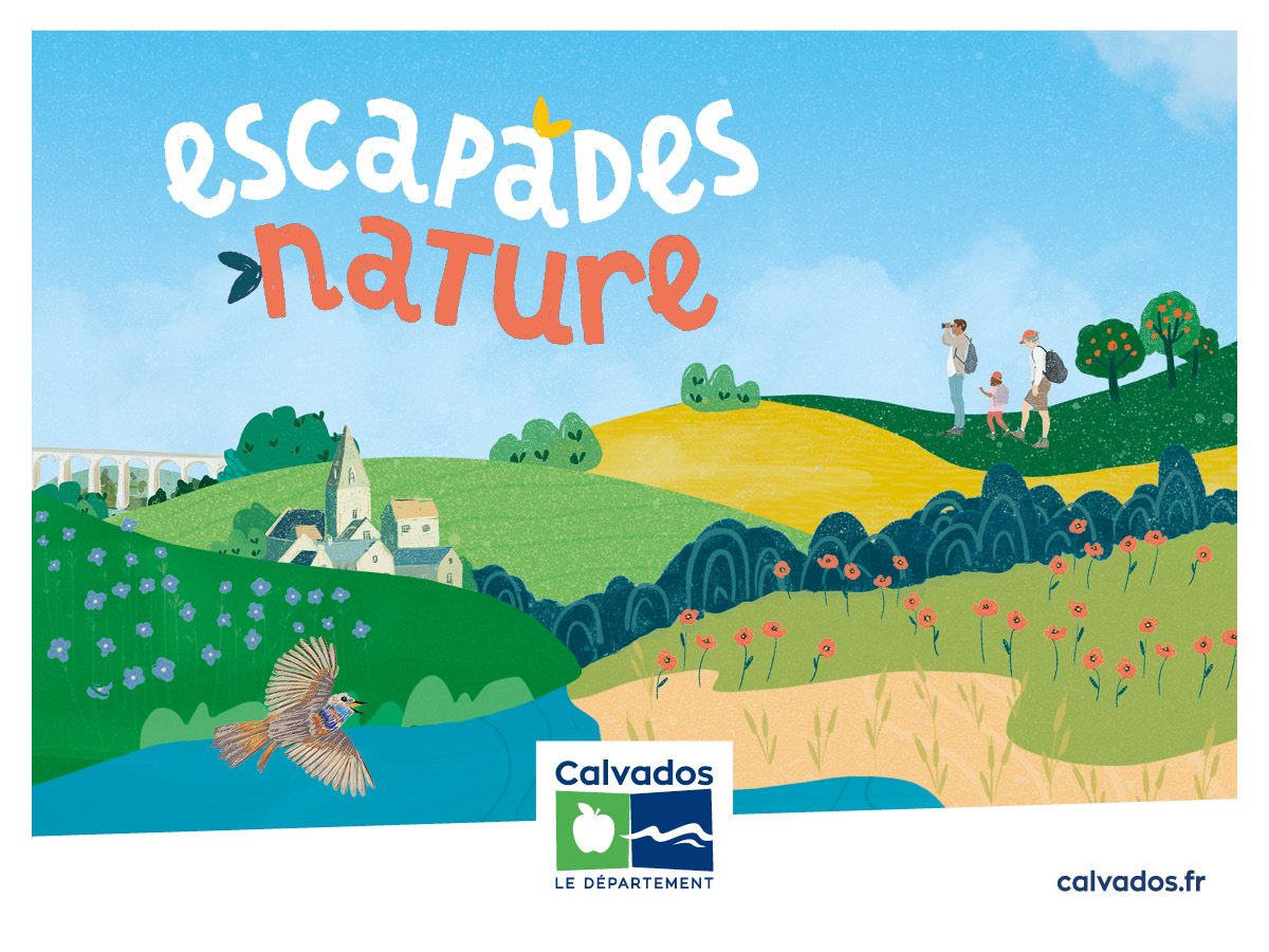 Carnets nature et autres créations végétales