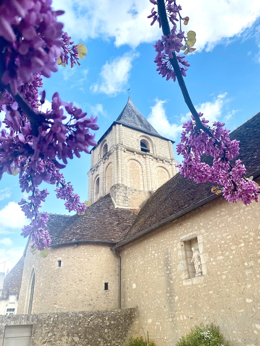 Eglise Saint-Martin à Angles-sur-l'Anglin