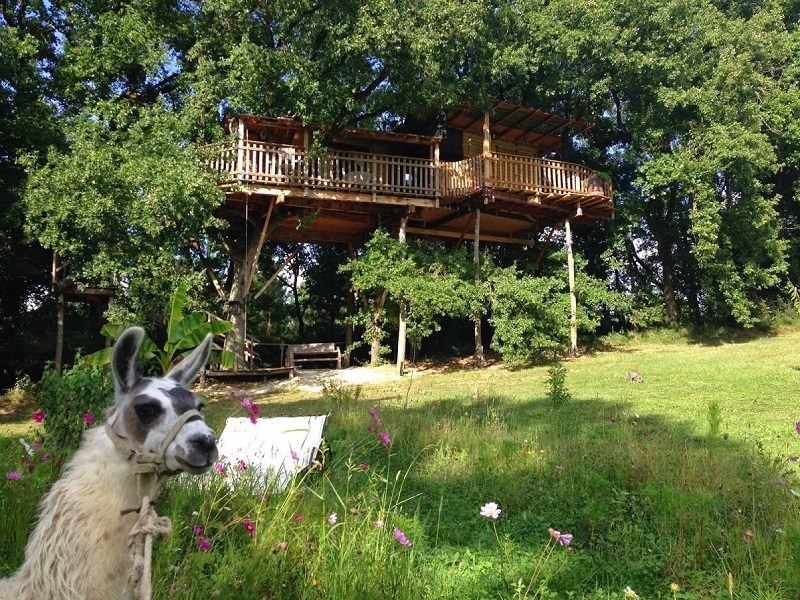 La Cabane du Lamas