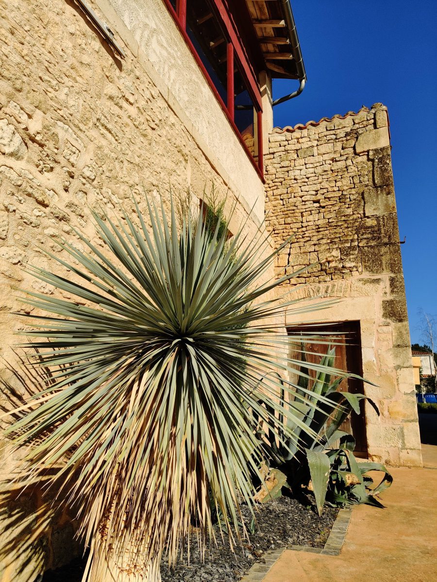 La suite Niortaise