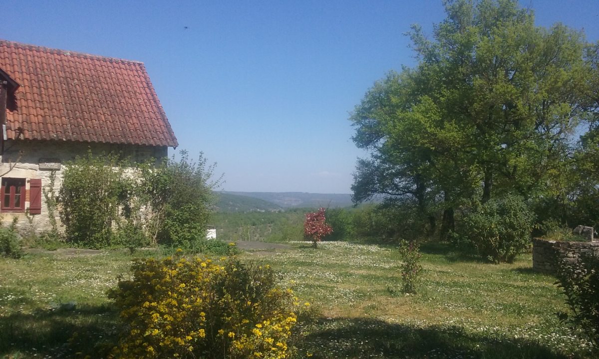 Le Rosier