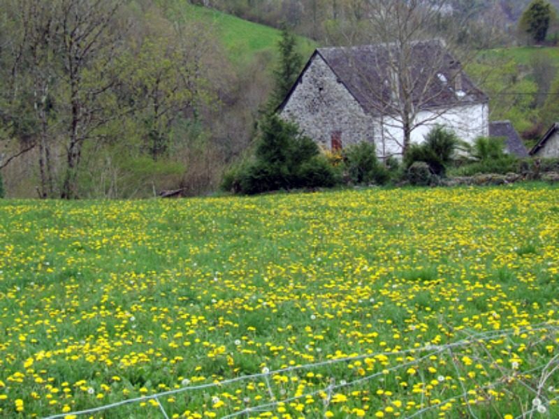 Maison Ransinan