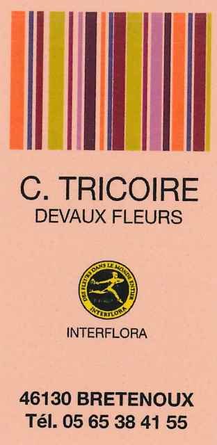 DEVAUX-FLEURS-C.TRICOIRE