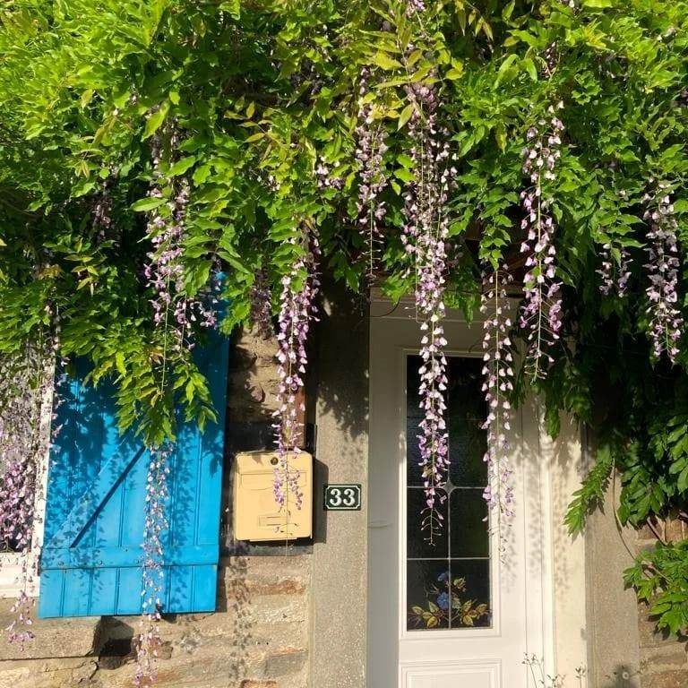 Le gîte au bord de la forêt
