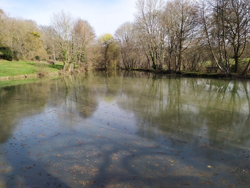 Etang communal