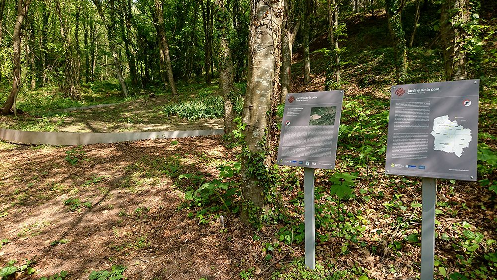 Vestiges du vieux village de Craonne et son arboretum