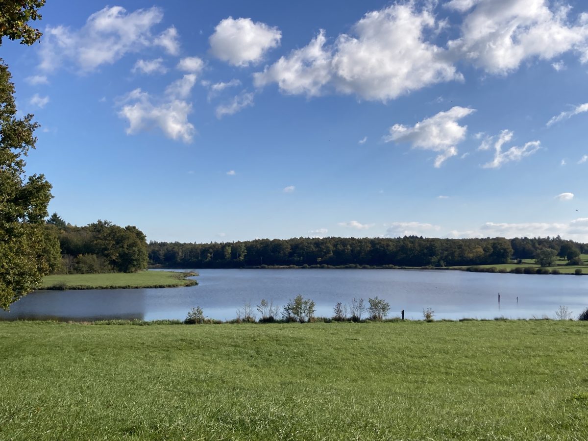 Etang de Chèvres