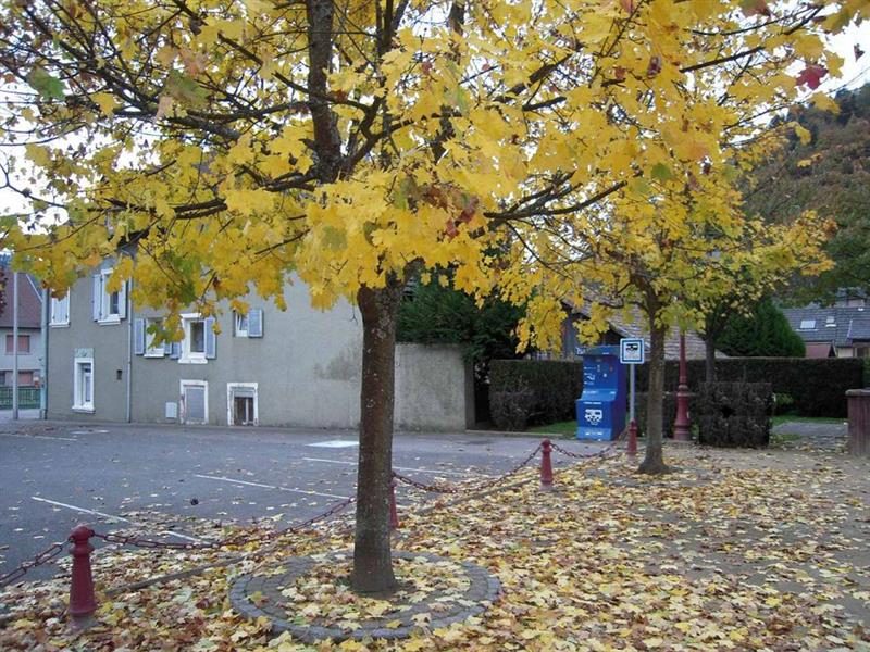 Aire de service pour camping-car de Willer-sur-Thur