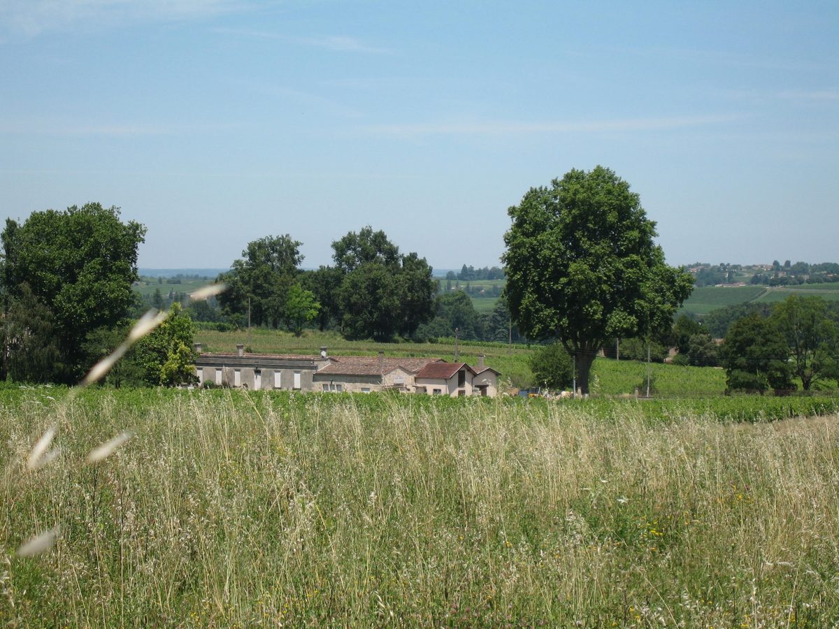 Chartreuse d'Ertan - La Maison des Vignerons