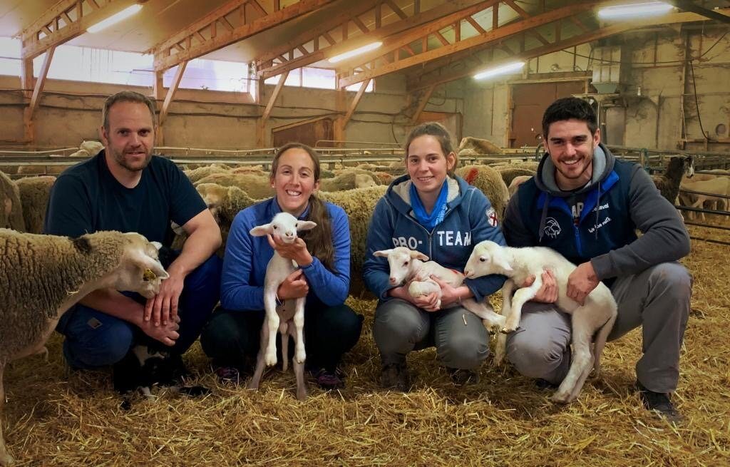 ARMAND ET MARIE - GLACES FERMIÈRES AU LAIT DE BREBIS