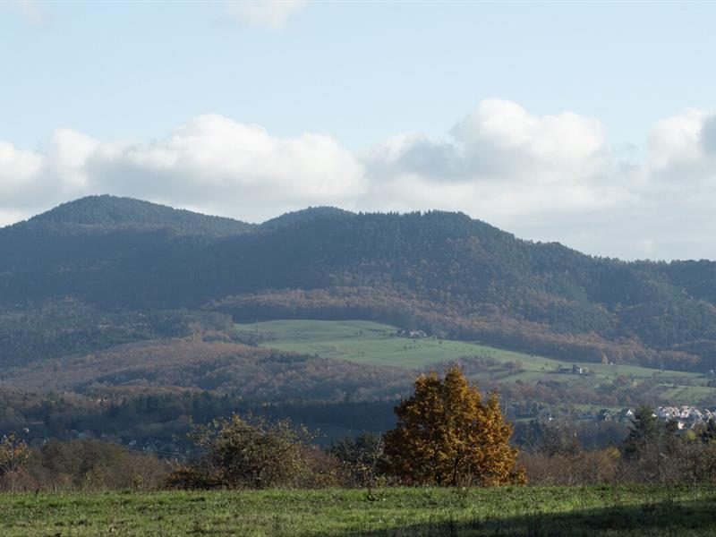 Le chalet de Juliette