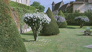 Jardin du Château de Montréal