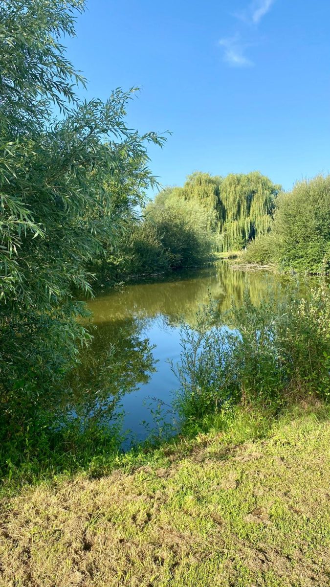 Plan d'eau des Orbidas
