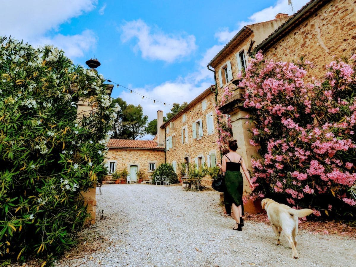 CHÂTEAU DE SAINT ESTÈVE