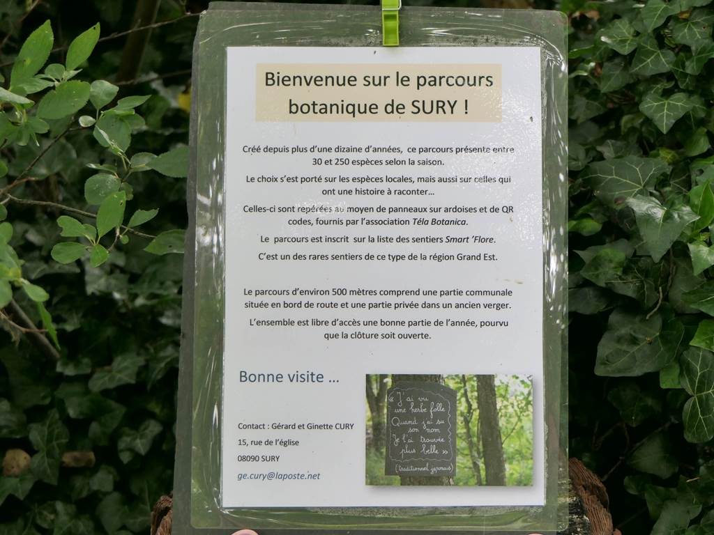 Sentier Botanique