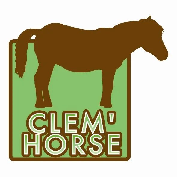 Séance enfants avec Clem'Horse