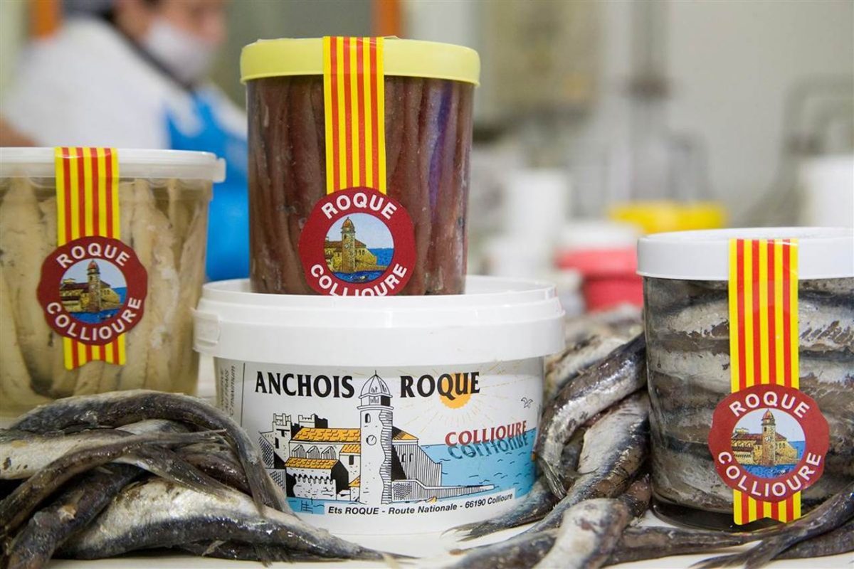 ANCHOIS ROQUE