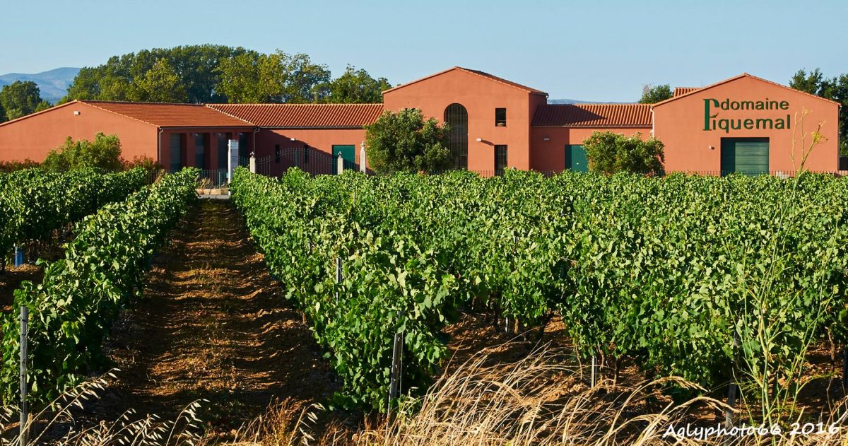 DOMAINE PIQUEMAL