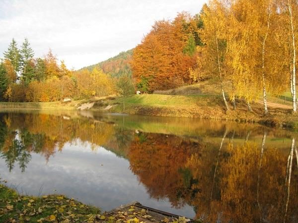 Pêche à l'étang des Fenesses