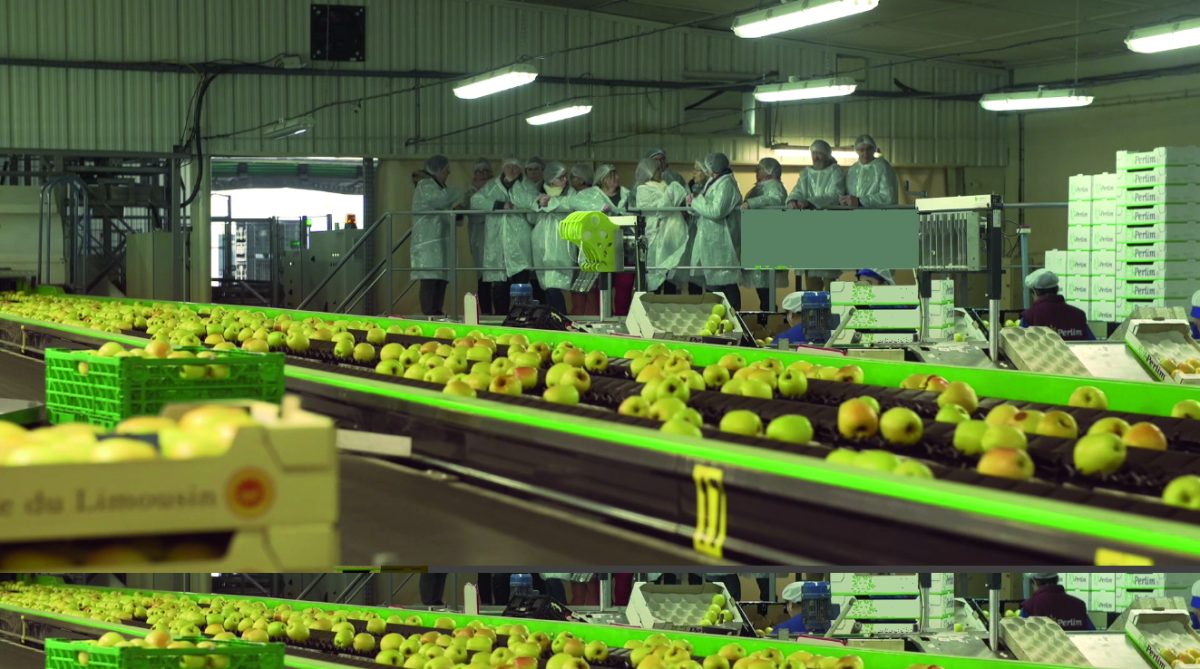 Route de la Pomme du Limousin : Visite coopérative 2026