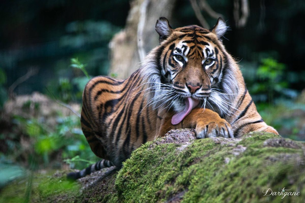 Parc Zoo du Reynou