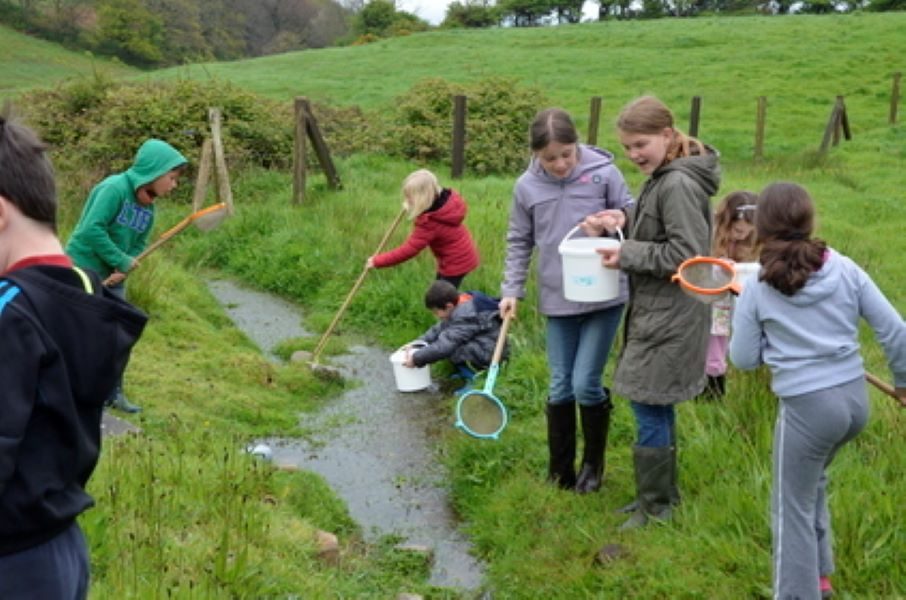 Atelier-nature (6-12 ans) : le monde fascinant des insectes