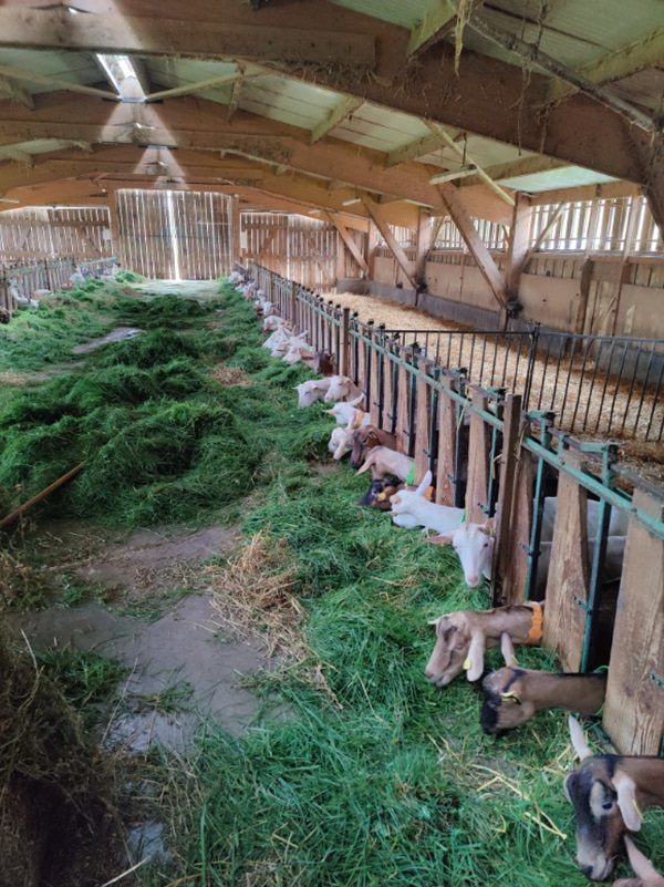 Ferme de la Beauce
