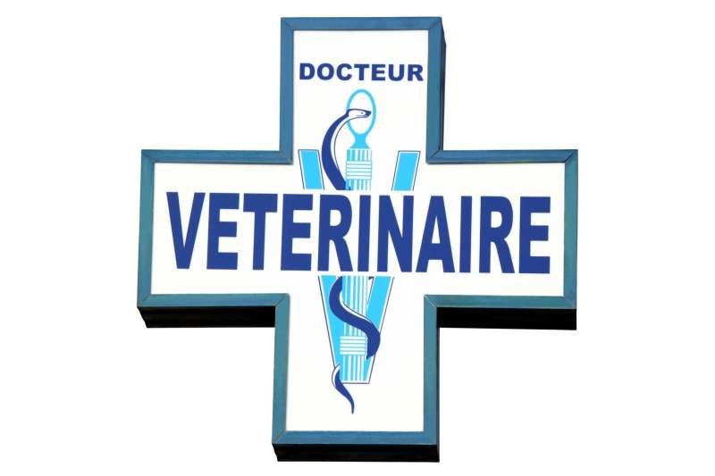 Clinique Vétérinaire des Dunes