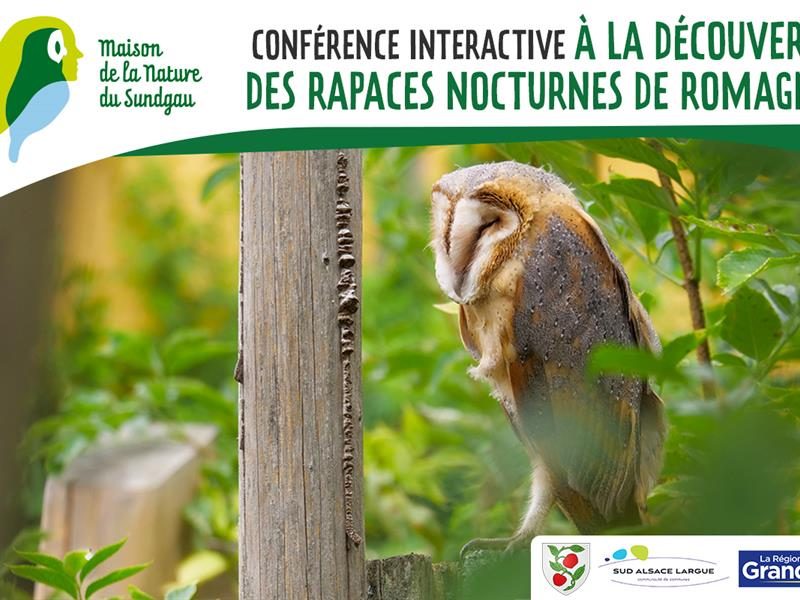 Conférence interactive à la découverte des rapaces nocturnes à Romagny