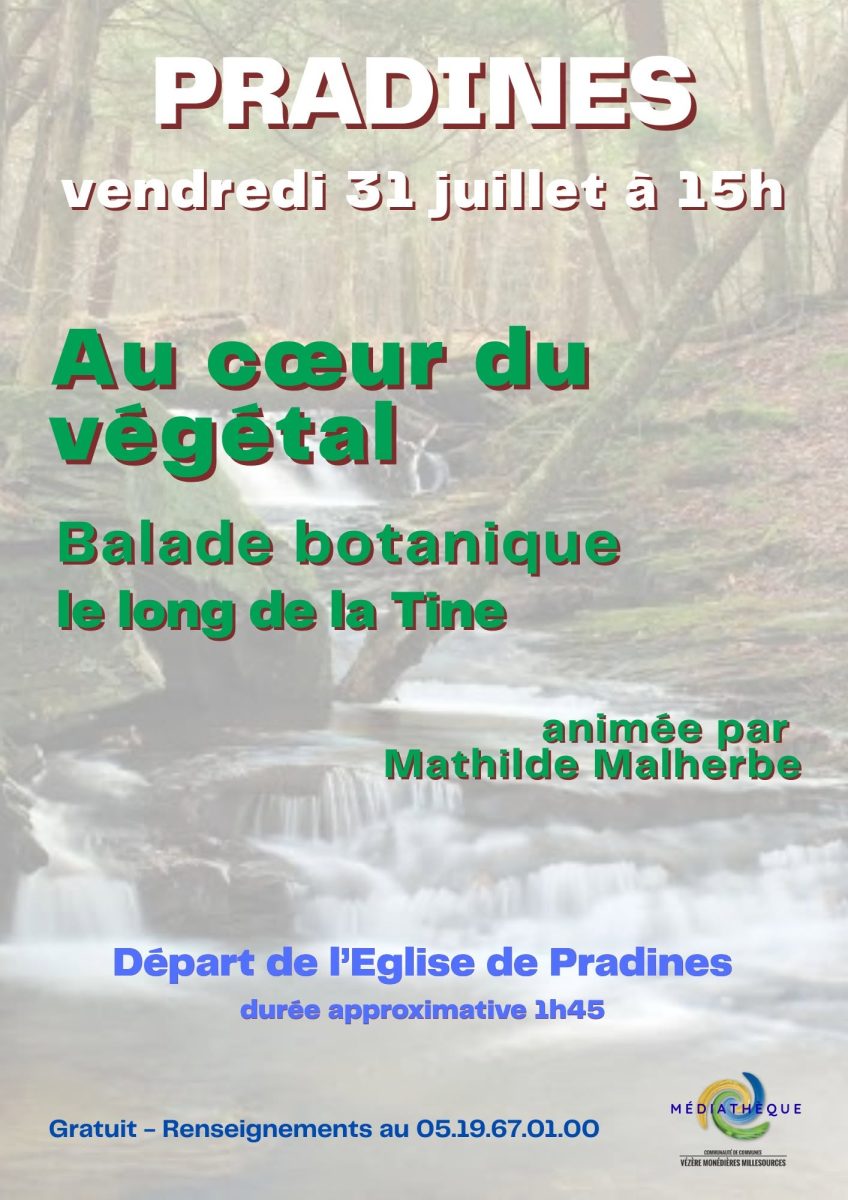 Balade botanique : Au cœur du végétal