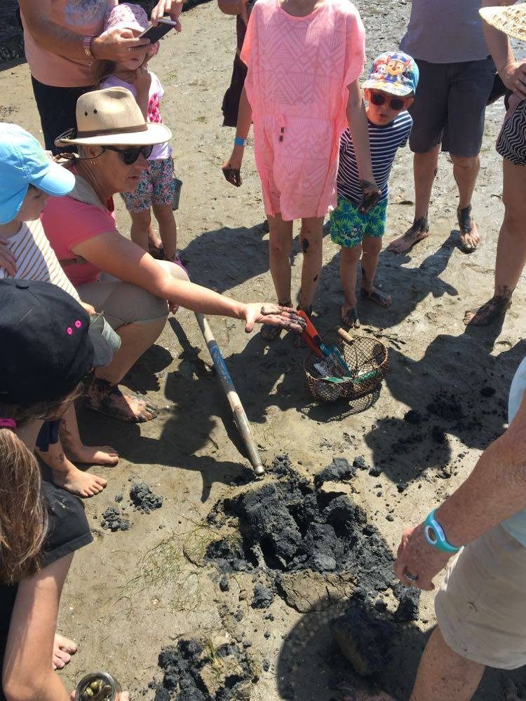 Les trésors de la plage à marée basse