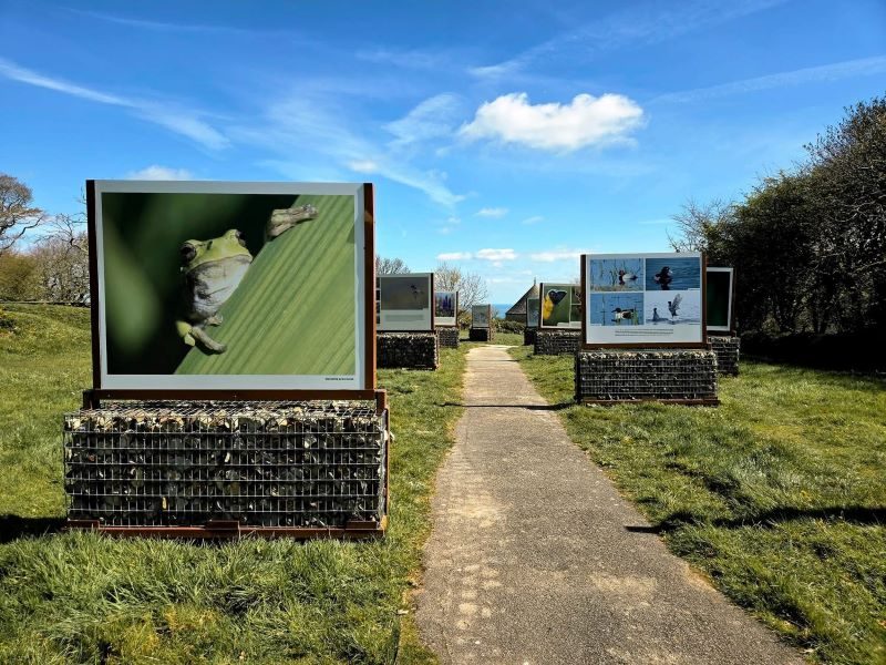 Exposition "Dunes secrètes"