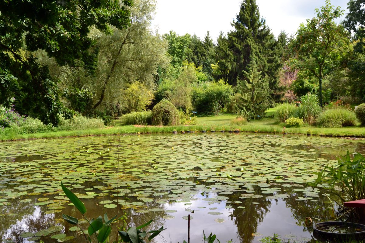 Arboretum Al Gaulhia