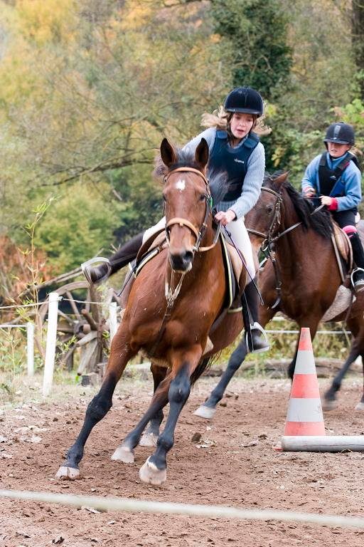 Centre Equestre du Pont de La Madeleine