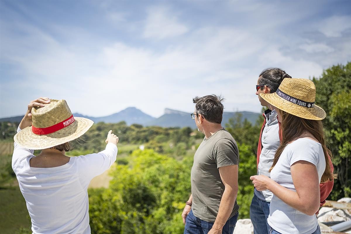 Montpellier Wine Tours