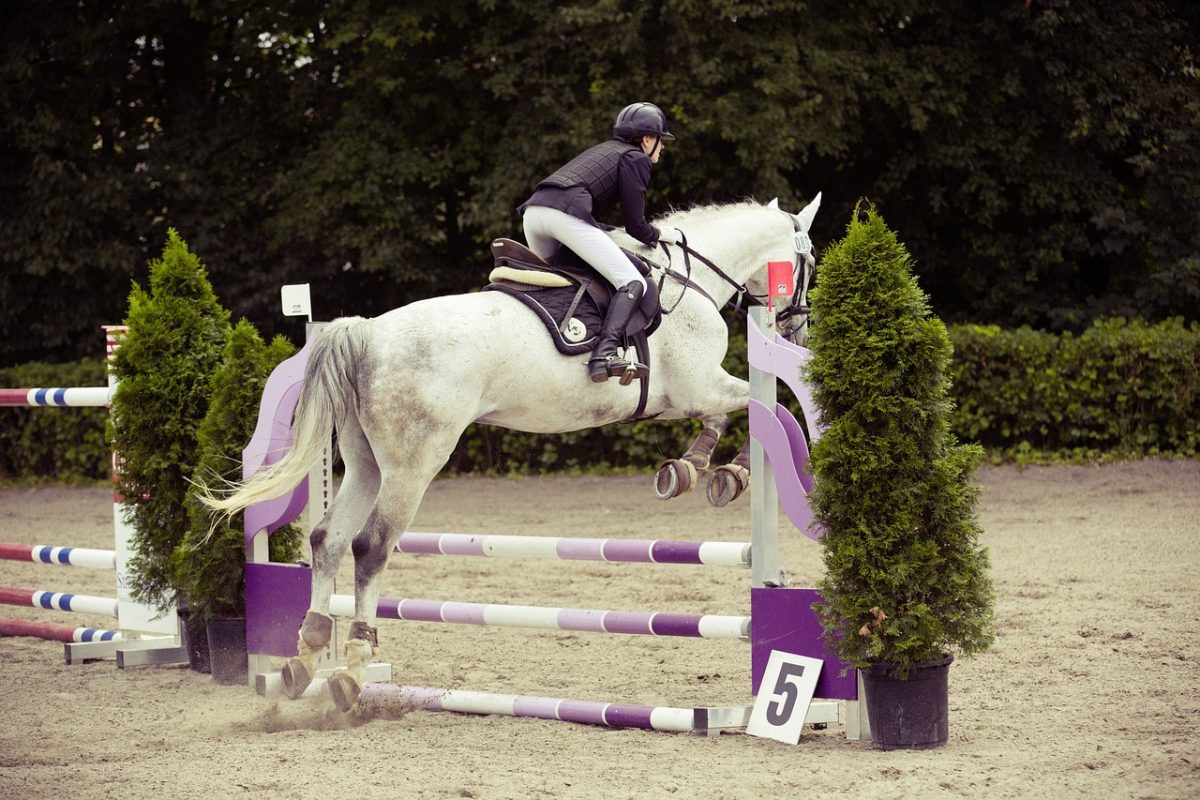 Concours de saut d'obstacles Jump Halloween