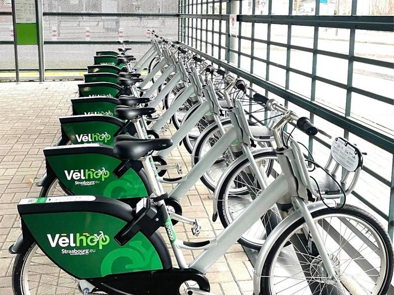 VELHOP Poteries