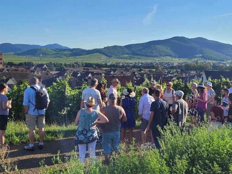 Apéro gourmand au domaine Tappe