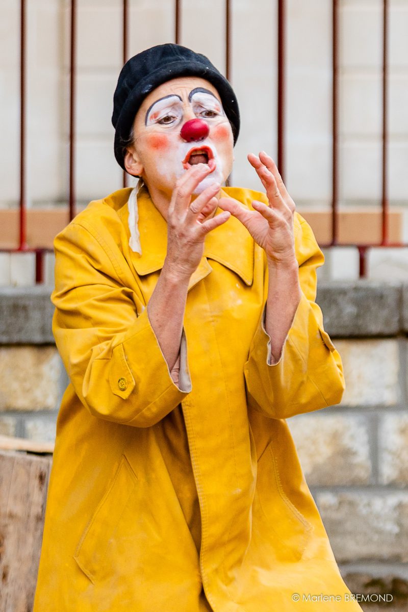 STAGE CLOWN ADULTES