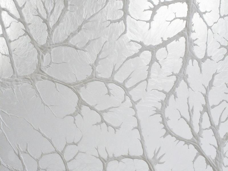 Exposition Toute la beauté du monde