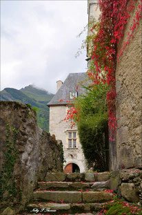 Visite du château et de l'église de Béost