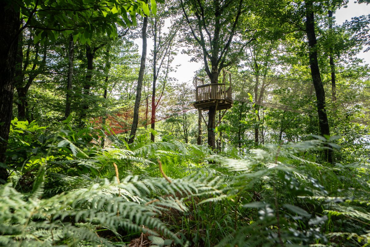 Wood Parc