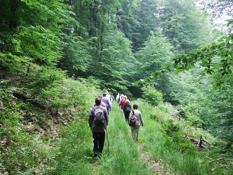 Marche avec Loisirs Vélo Hombourg