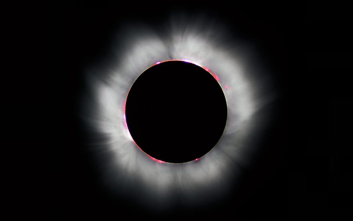 Observation de l'éclipse solaire
