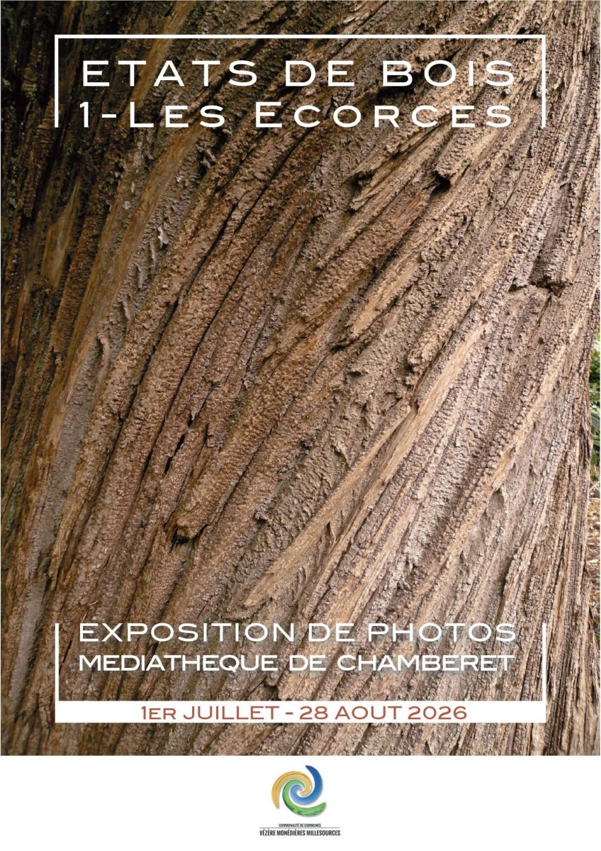 Exposition de photographies : Etats de bois - Ecorces