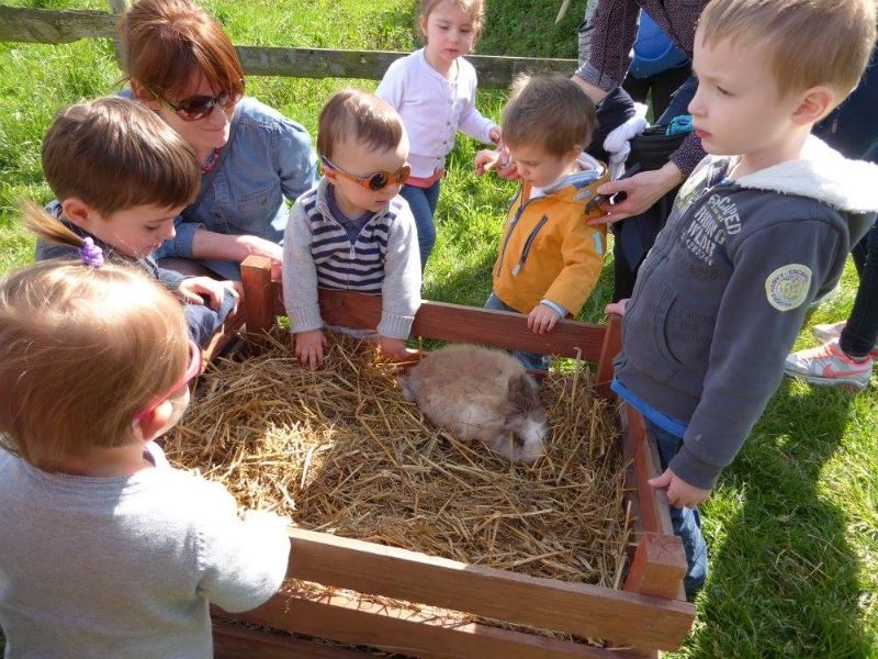 Atelier - Mon petit lapin