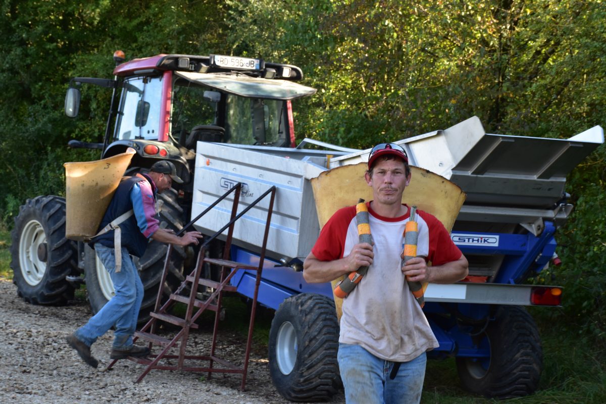 Domaine viticole Guillaume à Charcenne
