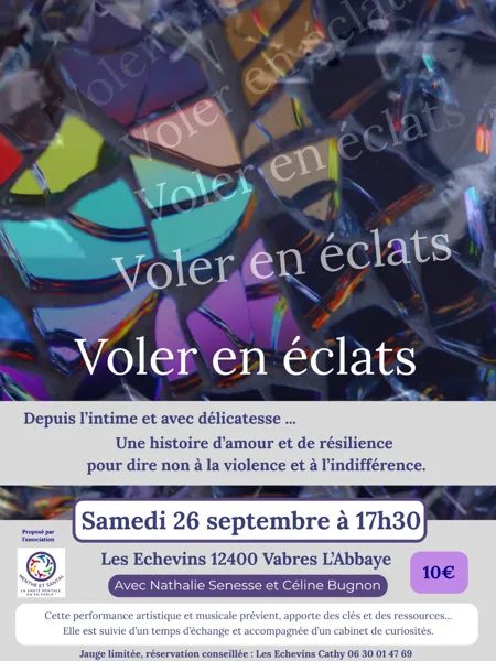 Performance artistique et musicale :"Voler en éclats"