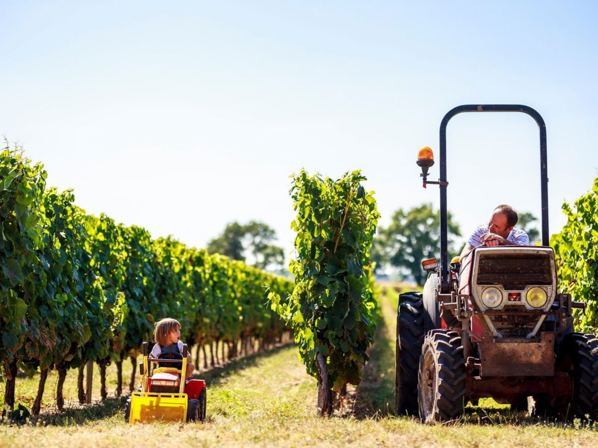 Le potager de Bacchus